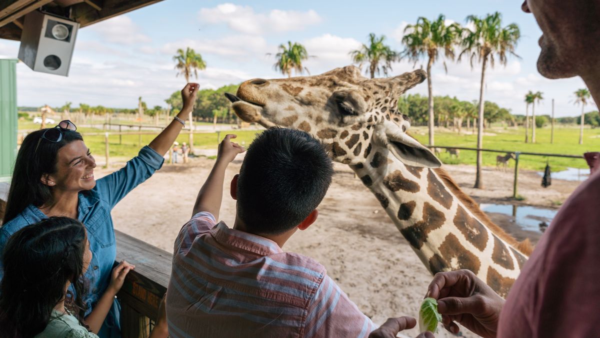 Los turistas buscan una experiencia enriquecedora, explorando no solo las atracciones modernas sino también el legado cultural de Kissimmee.