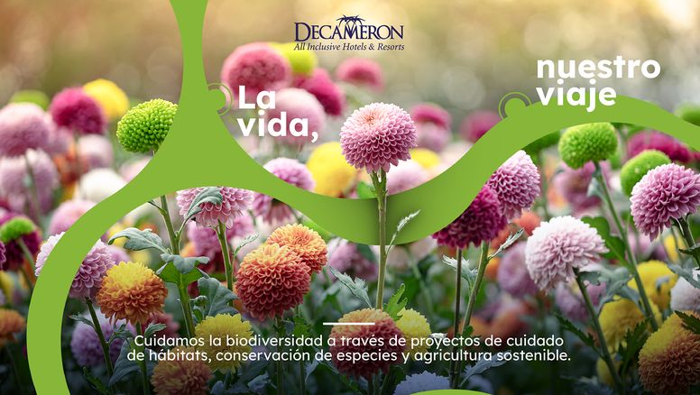 A través de su nueva campaña 360, Decameron busca promover el&nbsp;turismo consciente.