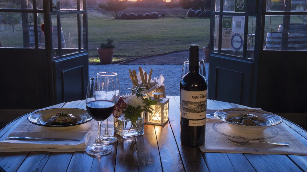 En Colonia hay notables bodegas para visitar en tus escapadas.