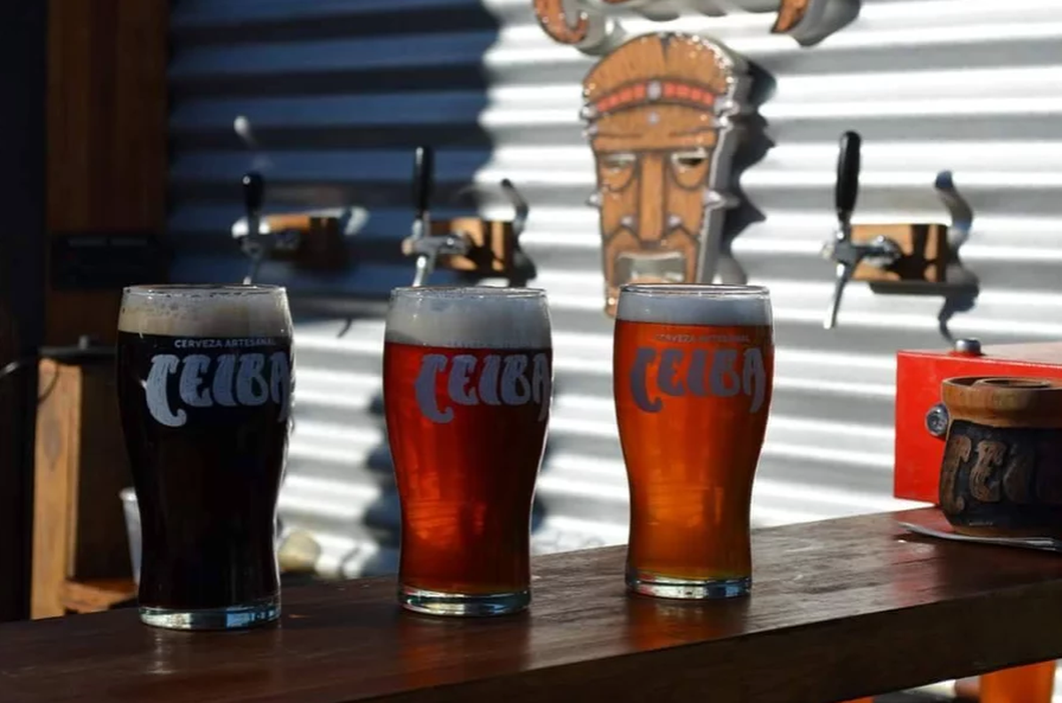 En Chascomús, la cerveza artesanal Ceiba obtuvo el primer puesto durante una jornada nacional de bebidas fermentadas a base de miel.