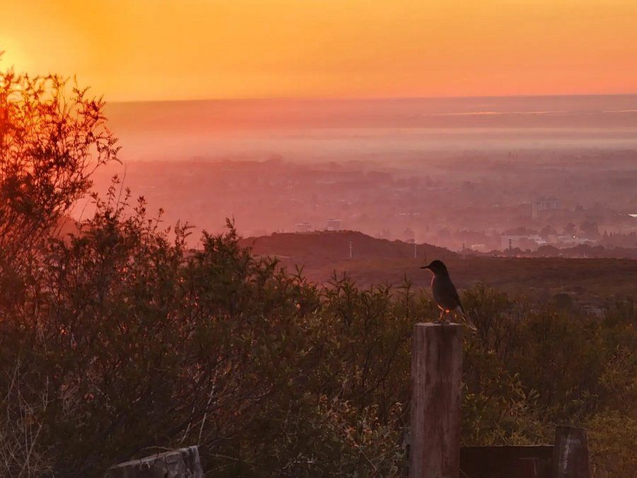 Escapadas en Mendoza: la Reserva Natural Divisadero Largo permite acceder a vistas panorámicas hermosas. 