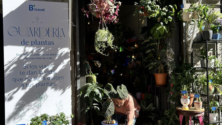 Floristería de la iniciativa Guardería de plantas de B Travel.