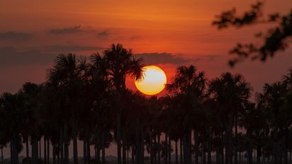 Qué hacer en Casanare, Colombia: naturaleza salvaje, cultura llanera y paisajes inolvidables