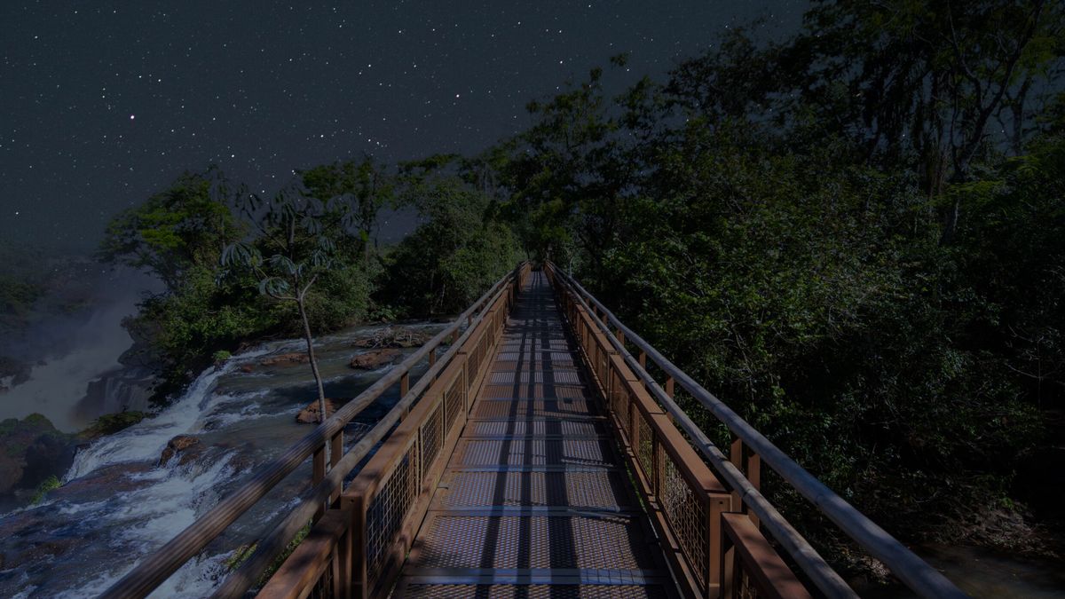 Cataratas del Iguazú: los senderos del Parque Nacional Iguazú en Misione tienen una mística distinta durante las noches de luna llena.
