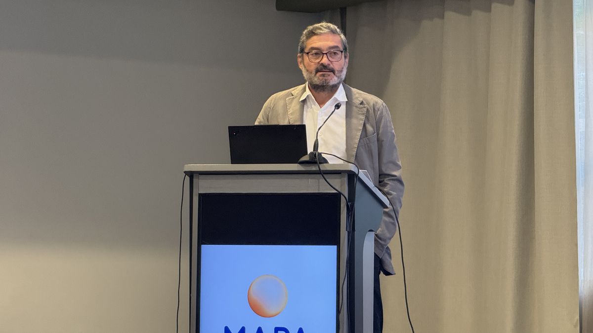 David Alonso, director general de MapaPlus.