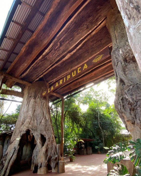 Visitá el parque de árboles milenarios recuperados y pasá una tarde entre artesanías mientras disfrutás de la gastronomía local.