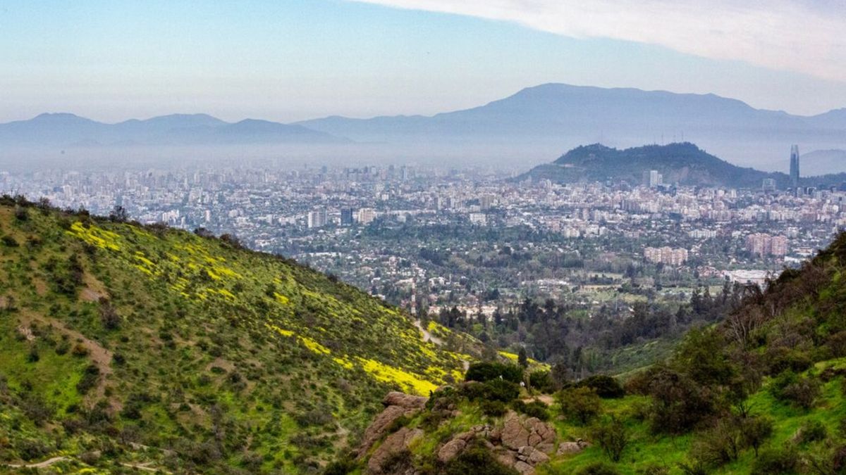 El Parque Natural Aguas de Ramón se caracteriza por una alta riqueza de especies endémicas de flora y fauna