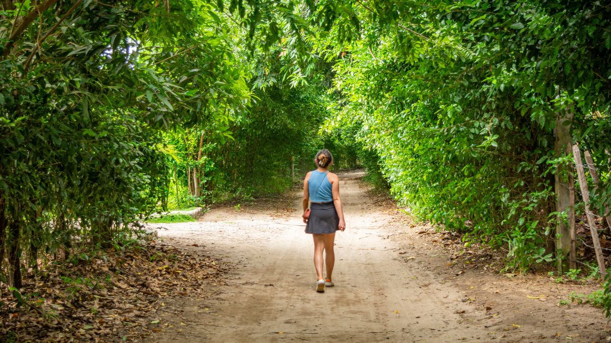 Recorrer estas reservas es descubrir una Colombia que respira a través de sus ríos, árboles y culturas originarias.
