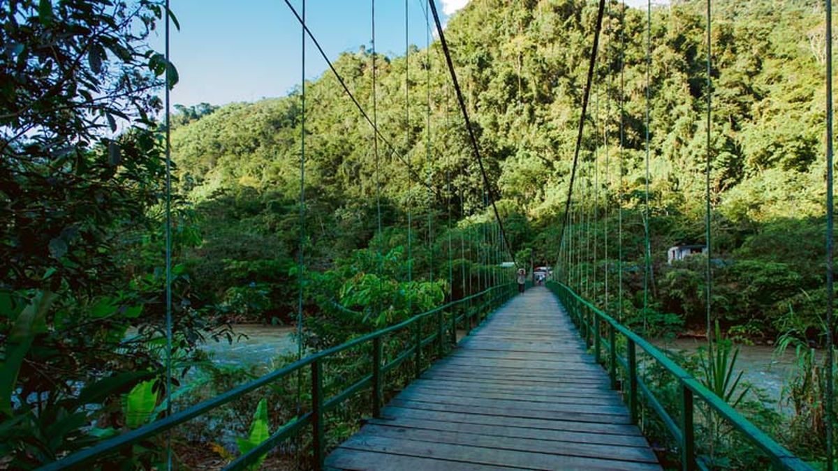 Parque Tingo María es una historia de turismo sostenible en el mundo