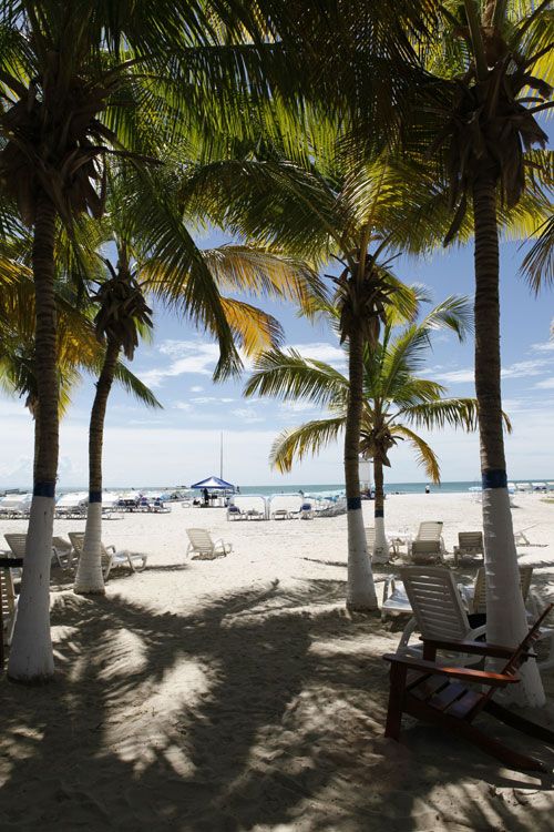 Es muy fácil dejarse conquistar por Coche, gracias a su calor y color caribeño, especialmente expuesto en sus playas.