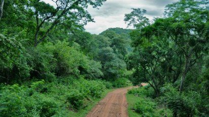 Salta y Jujuy: un novedoso corredor natural en las Yungas