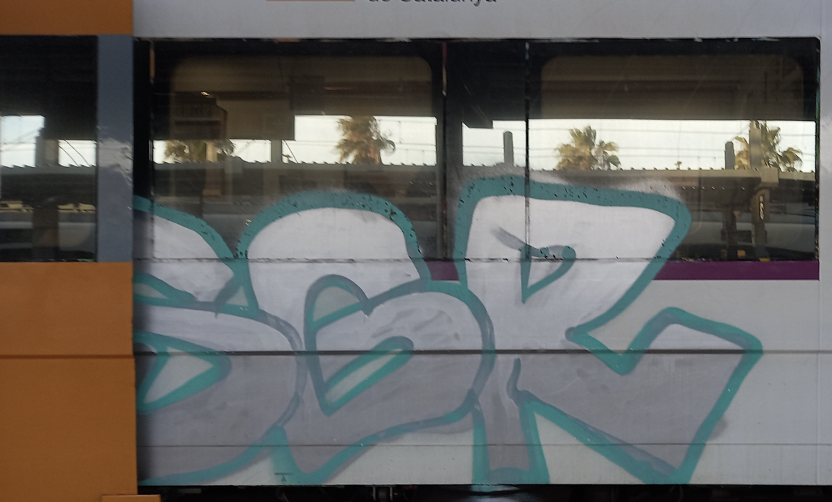 Tresn de Rodalíes con grafitis en la ruta de Maresme (Cataluña)