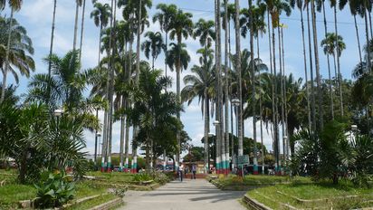 Caicedonia es un destino cafetero lleno de muchas actividades naturales para realizar en un fin de semana.