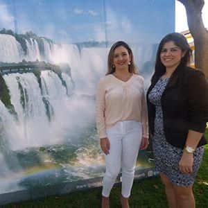 - Ladevi Medios y Soluciones