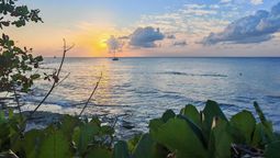 Royal Caribbean abrirá un nuevo acceso público a la playa en la zona hotelera sur de Cozumel.