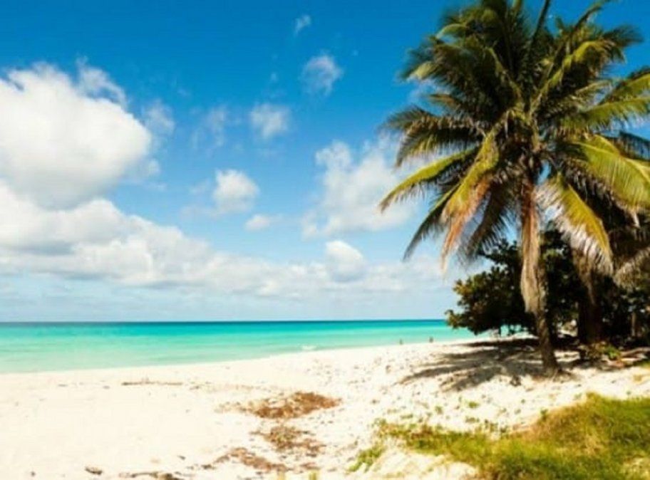 Viñales Tours, Proturs, Viajes Bojórquez y Enjoy Cuba son los operadores que organizaron los vuelos, todos reconocidos por su conocimiento de Cuba y por movilizar una importante cuota del mercado mexicano hacia la isla.