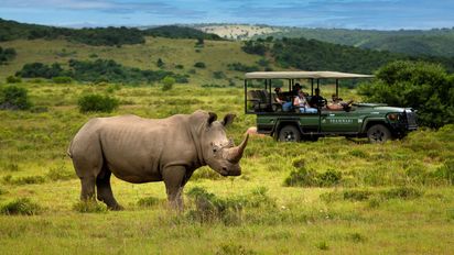 Safaris de lujo: la espectacular reserva de Sudáfrica que eleva el nivel de servicios