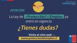 ¿como funciona la ley de proteccion al empleo?