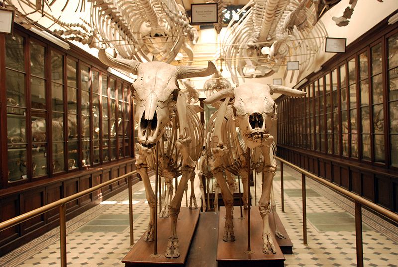 Uno de los museos más relevantes de Argentina se localiza en la capital bonaerense.