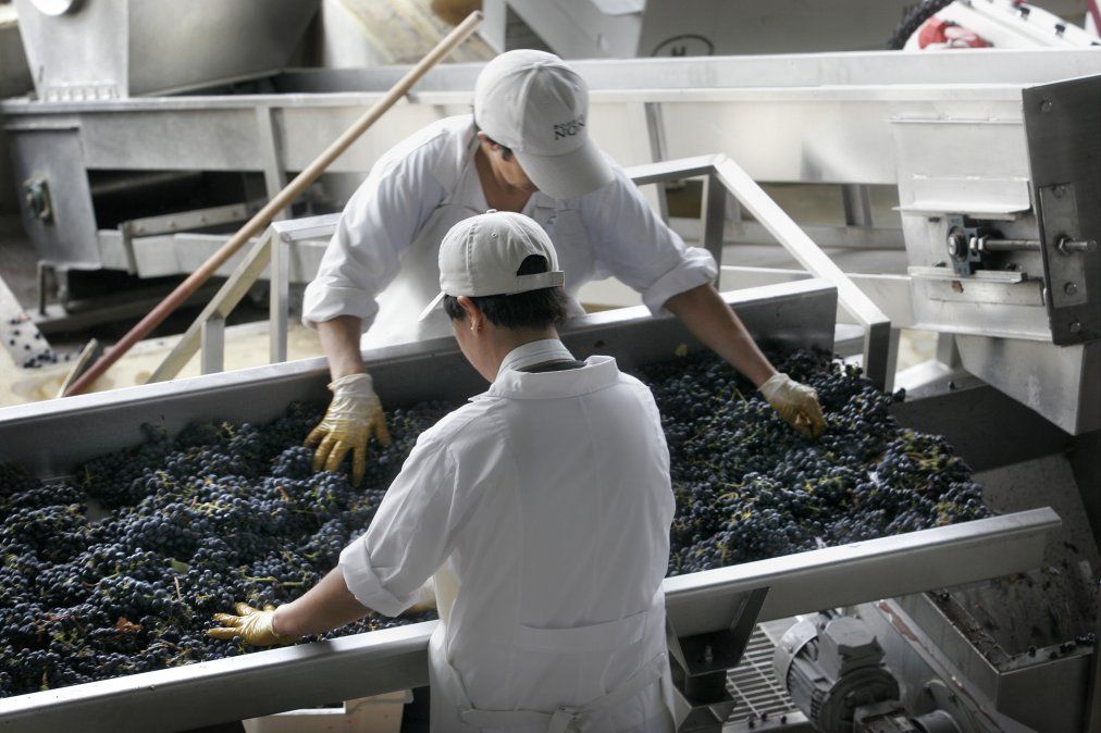 La idea del evento es destacar las cualidades de los viñedos y las novedades de este año.