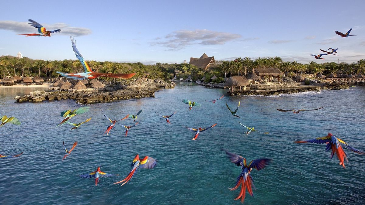 Grupo Xcaret es ampliamente reconocido por su modelo de turismo sostenible, sus parques temáticos de clase mundial y su exclusiva oferta hotelera bajo el innovador concepto All- Fun Inclusive.