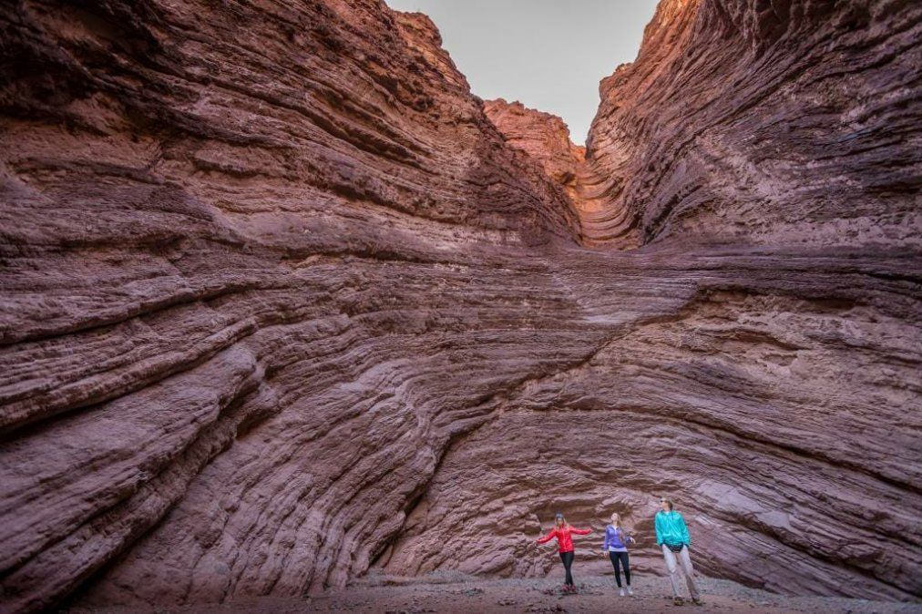 La iniciativa es el resultado de un trabajo mancomunado entre el sector público y privado.