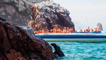 Paracas: reanudan los paseos en las Islas Ballestas