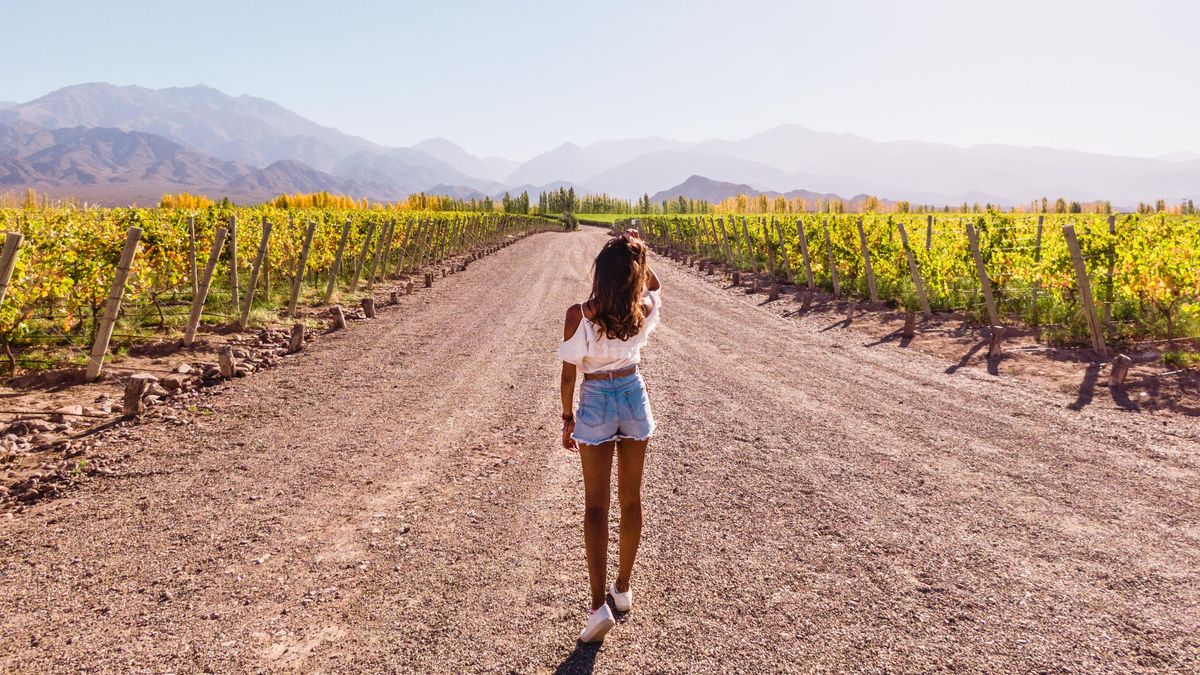 Escapadas para el fin de semana largo: Mendoza te espera para disfrutar de un descanso asegurado y te recomendamos qué hacer durante tres días.