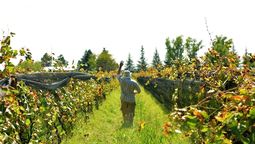 altText(No es una más: la bodega de Mendoza que fue premiada por ser una de las favoritas de los viajeros)}