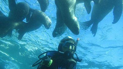 El buceo o esnórquel con lobos marinos es una de las actividades que puede realizarse en Puerto Madryn durante el fin de semana largo de Semana Santa.&nbsp;