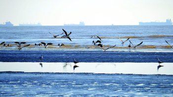 Escapadas: el sur de la Provincia de Buenos Aires conserva playas con acceso libre y gratuito al río.&nbsp;