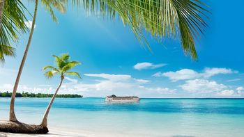 Vacaciones con MSC Cruceros: a partir del 16 de noviembre de 2026 y hasta noviembre de 2027, la naviera ofrecerá itinerarios por el Caribe sin necesidad de visa estadounidense, a bordo del MSC Opera.
