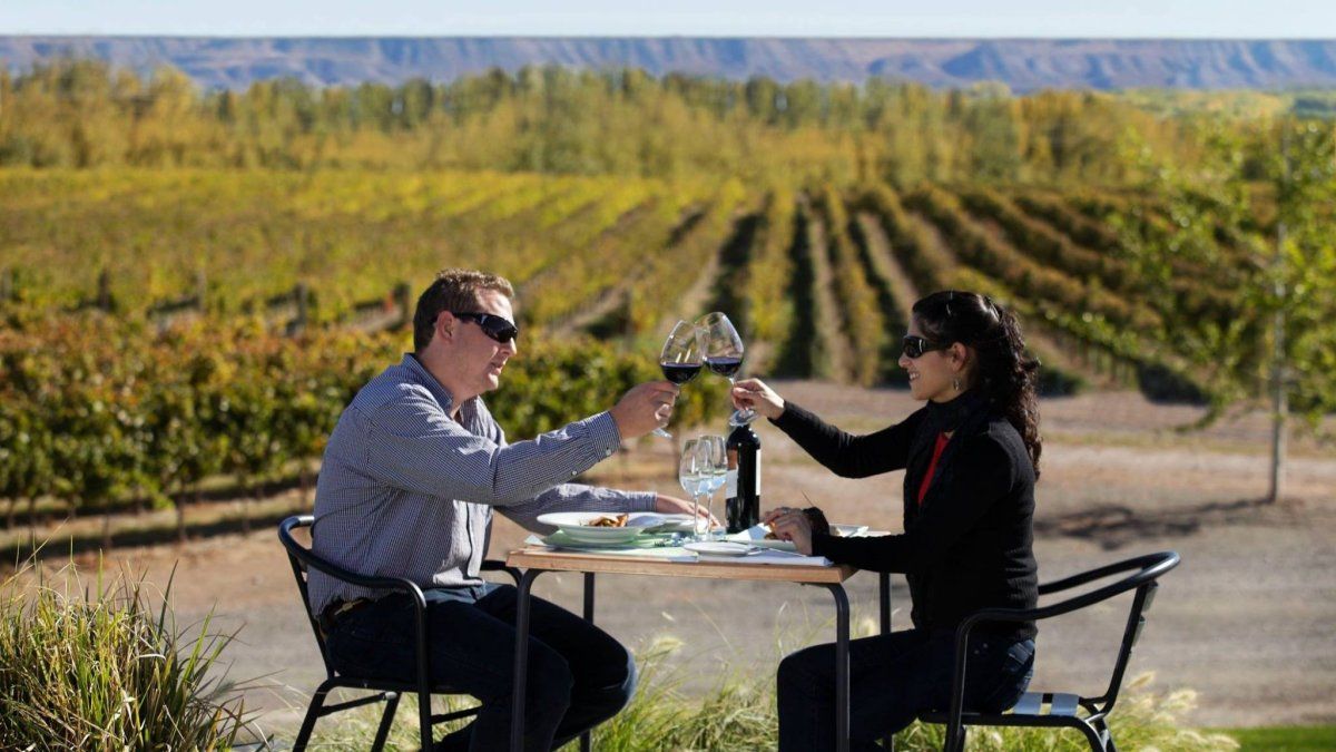 Verano2025: la Ruta del Vino en Patagonia propone degustar algunos de los vinos máspremiados de Argentina.&nbsp;