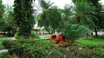 Alvarado, Tolima cuenta con distintos atractivos turísticos únicos que debes conocer.