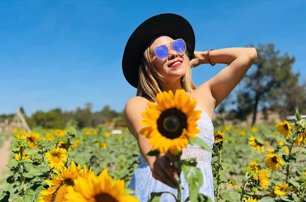 Recibe el verano en este hermoso santuario de girasoles en Tlaxcala&nbsp;