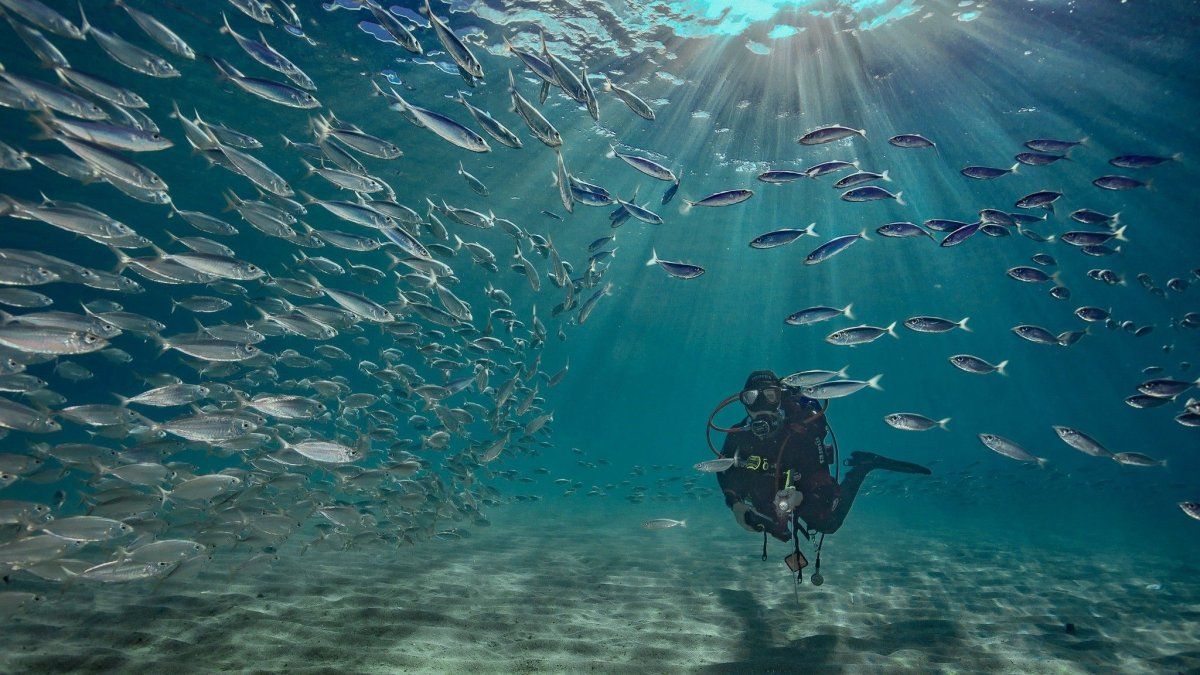 Caribe: el certamen de fútbol se llevará a cabo en predio Capital Ç, ubicado en la capital de Curazao, Willemstad.
