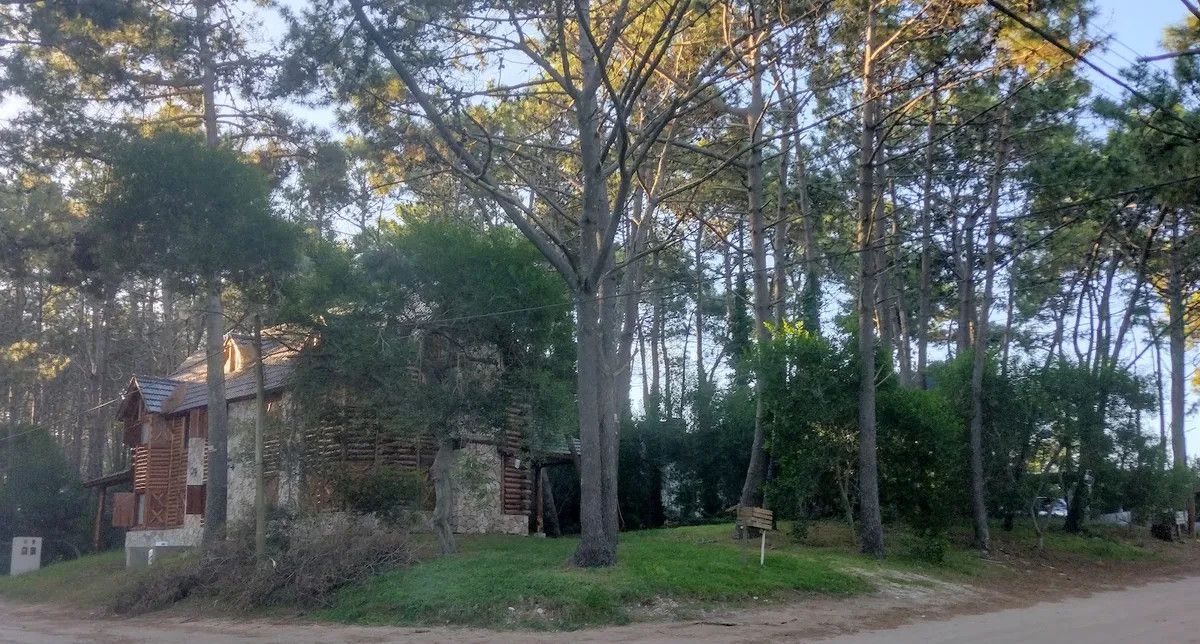 Buenos Aires: Mar Azul es la conjunción perfecta de bosque y mar y un destino muy solicitado para la temporada 2024.