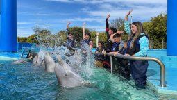 altText(Mar del Plata: todo lo que hay que saber sobre el Aquarium)}