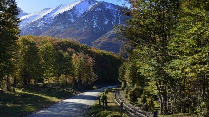 Ushuaia: el Parque Tierra del Fuego cumple 60 años