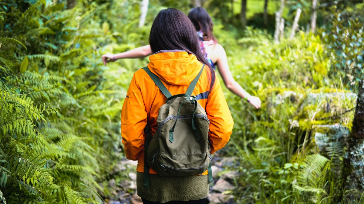 Colombia postula ocho municipios a los ‘Best Tourism Villages 2025’ de ONU Turismo, destacando su apuesta por el turismo rural sostenible y comunitario.