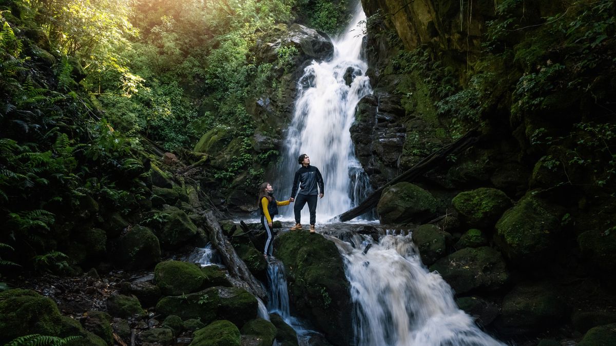 Bosques, monta&ntilde;as, playas y reservas naturales atraen a quienes encuentran en el paisaje el mejor escenario para desconectarse.