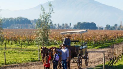 La gran fiesta del vino en las regiones viñateras de Chile