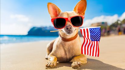 Estados Unidos: desde mediados de 2022 las tasas de crecimiento de pasajeros de Latinoamérica hacia el destino comenzaron a moderarse aunque en conjunto siguen siendo un mercado clave.