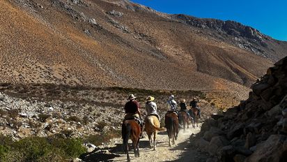 Región de Coquimbo: Valle del Elqui promedió un 68% de ocupación hotelera en el verano 2024/2025.