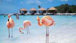 La playa Flamencos en Cayo Coco.
