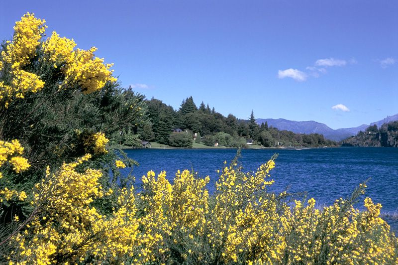 El Lago Moreno es uno de los tantos rincones patagónicos para el descanso y la contemplación.