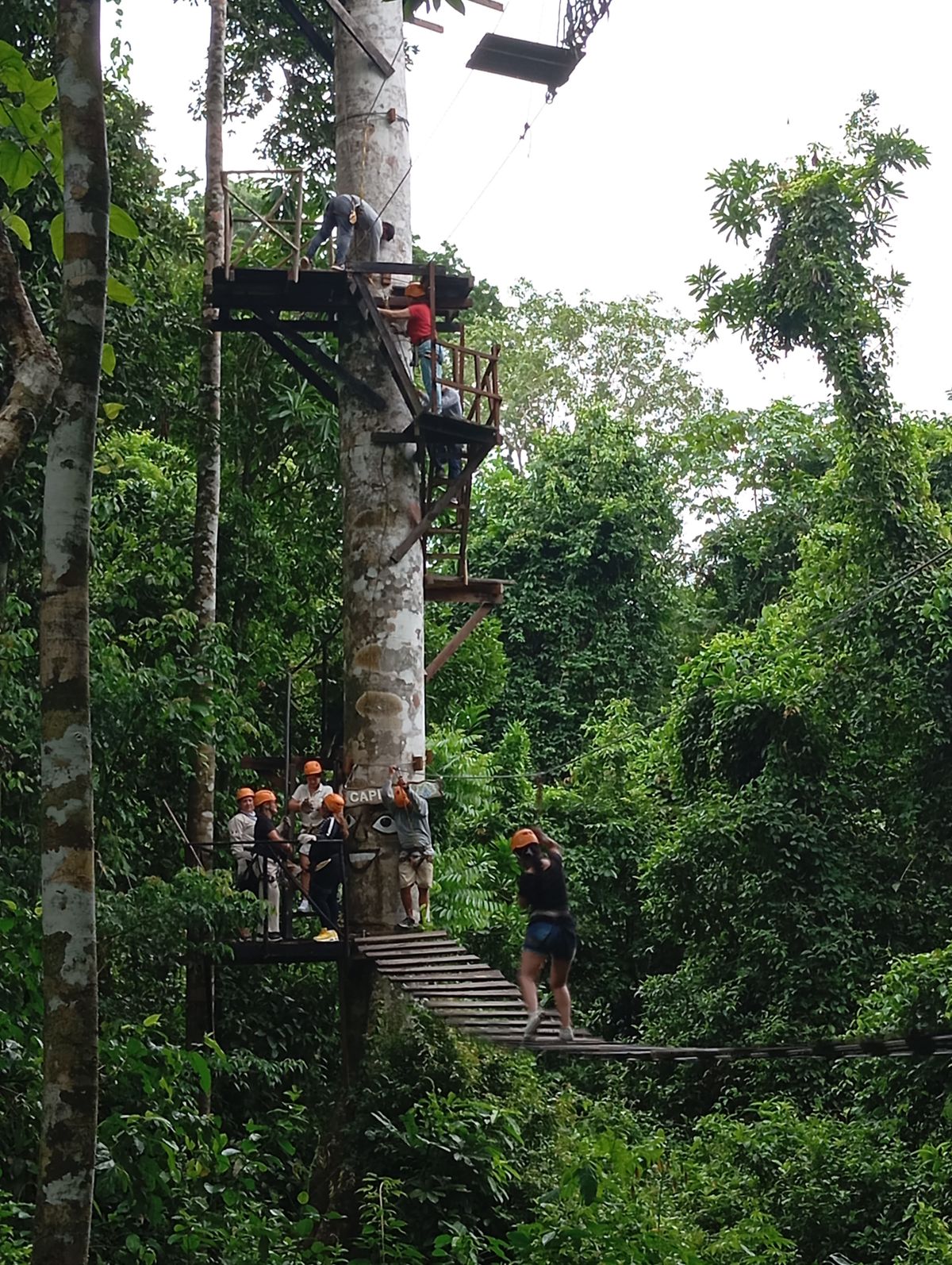 Viviendo la experiencia del canopy en pleno corazón de la selva.
