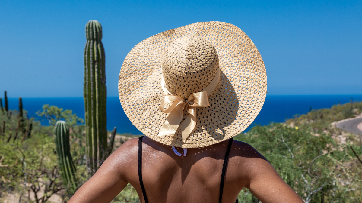Estas experiencias increíbles en La Paz harán que te enamores de Baja California Sur.