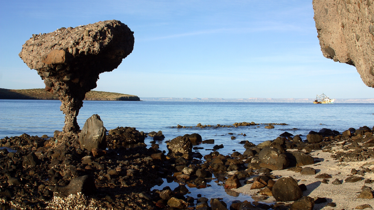 Balandra no solo destaca por su belleza sino por su biodiversidad.