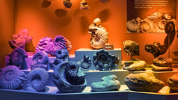 El Museo del Desierto es un imperdible en Saltillo.